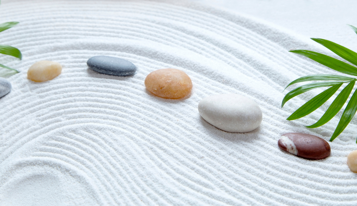 A calm, sensory-aware therapy space at NeuroPathways