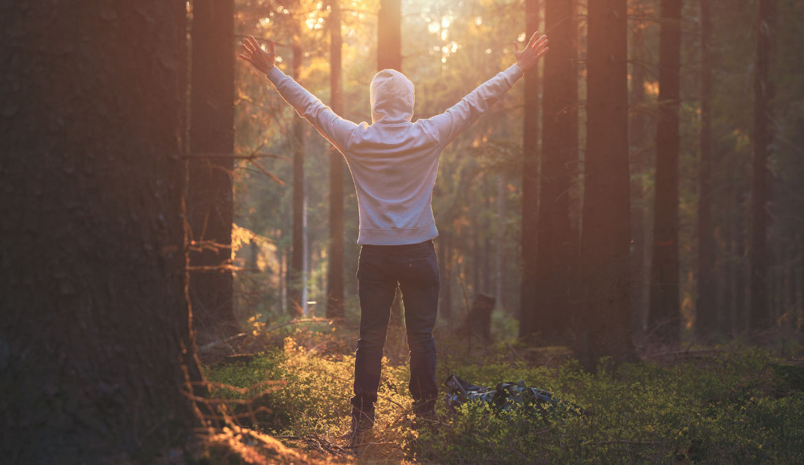 A person standing with arms open in golden forest light